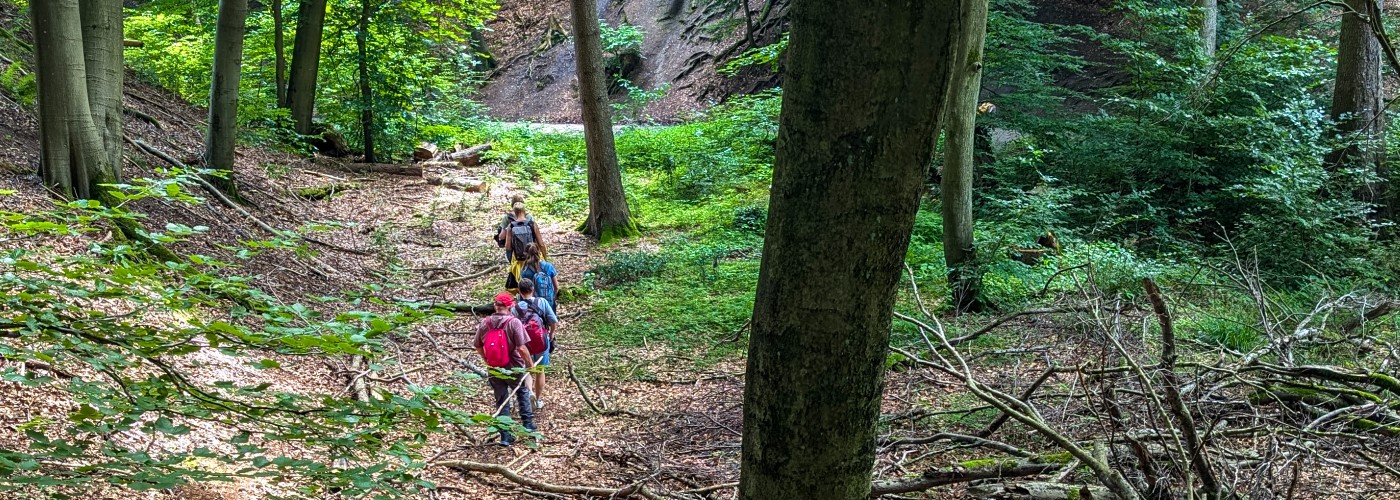 wandelen in de Deister