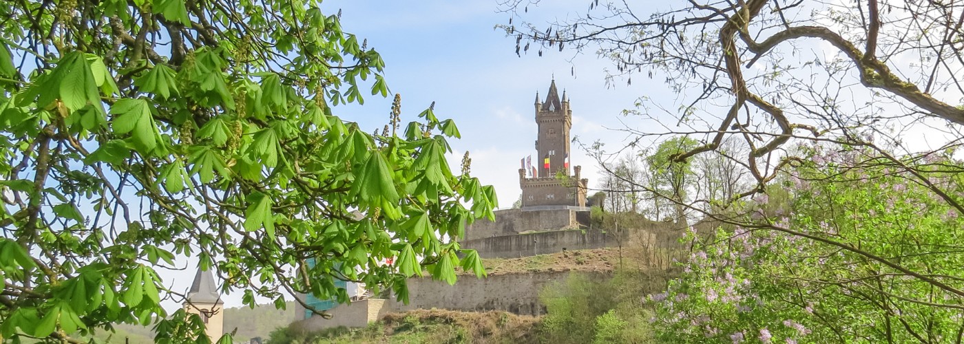 Uitzicht op de Burchttoren van Dillenburg tijdens ons bezoekje in de lente