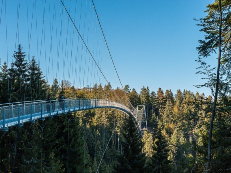 De Mittelweg komt onder andere over deze Hangbrug bij Bad Wildbad