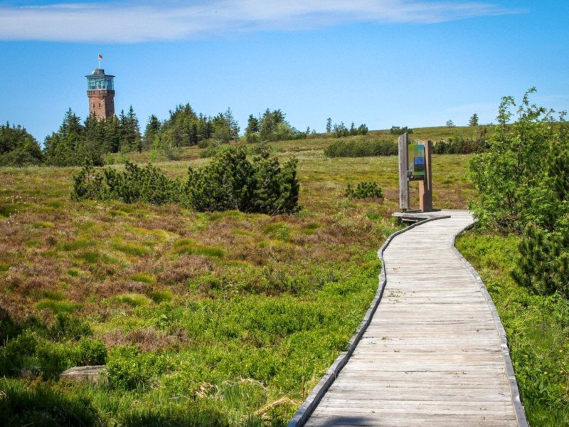 Wandelpad over het hoogveen op de top van de Hornisgrinde