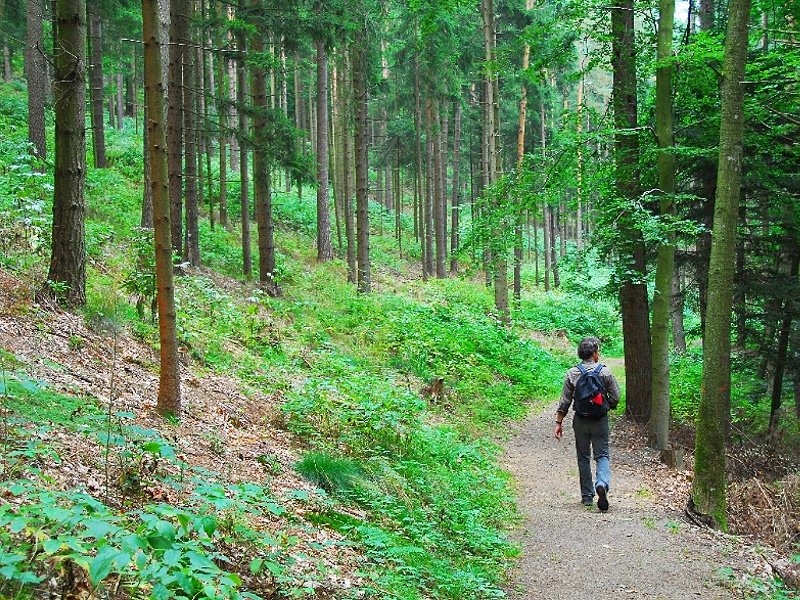 SNP Wandelreis Zwarte Woud 6 dagen