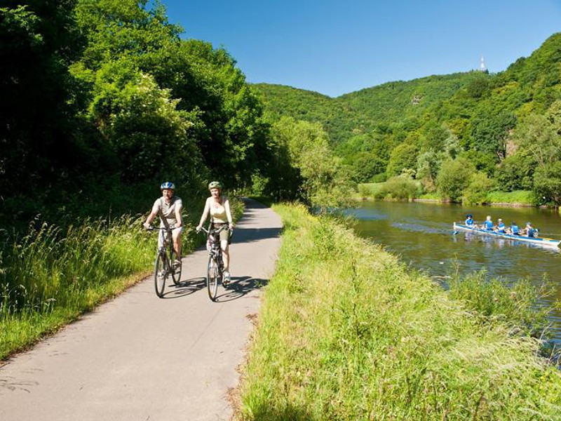 Fietsen langs de Moezel