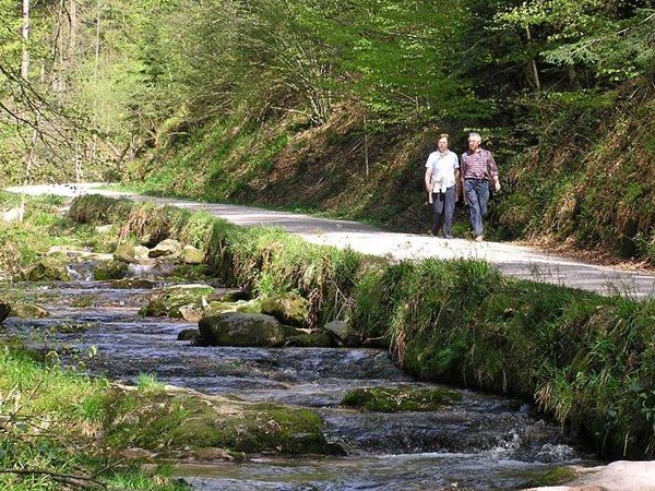 Wandelen met TUI in het Zwarte Woud