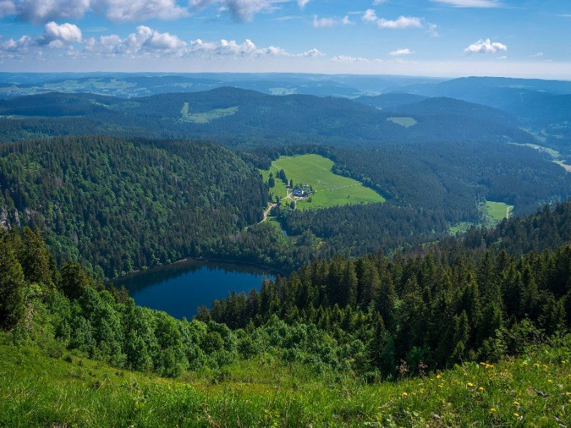 Uitzicht vanaf de Feldberg, hoogste punt van het Zwarte Woud