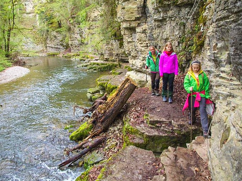 SNP Wandelreis Zwarte Woud 5 of 8 dagen